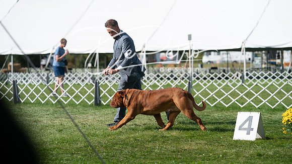 20231001-DSC07835