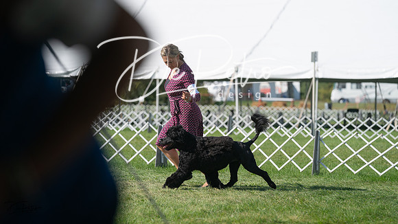 20231001-DSC07867