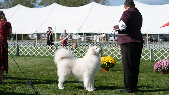 20231001-DSC07888
