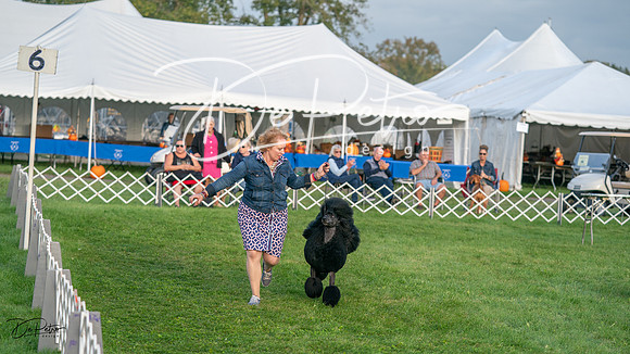 20230929-DSC07210