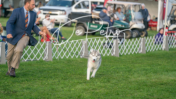 20230929-DSC07230