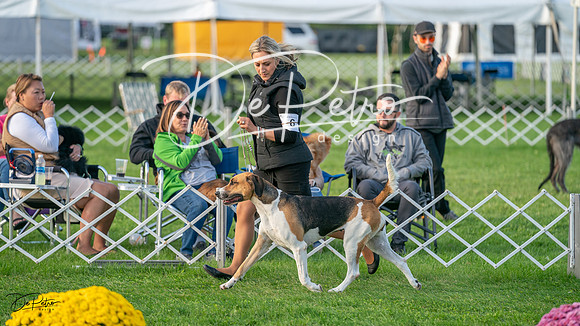20230929-DSC07246