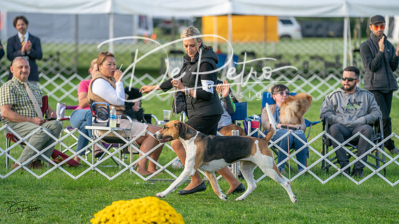 20230929-DSC07250