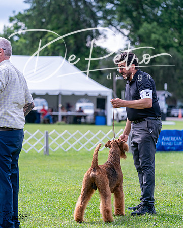 20240630-DSC03706