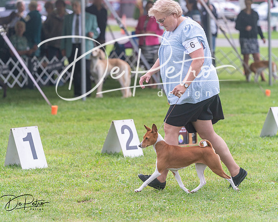 20250626-DSC04473