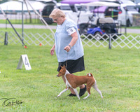 20250626-DSC04453