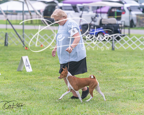 20250626-DSC04453