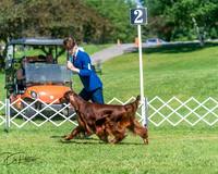 20250629-DSC00109