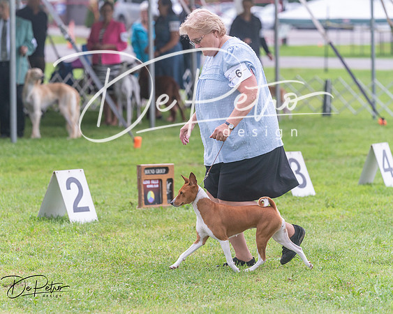 20250626-DSC04469