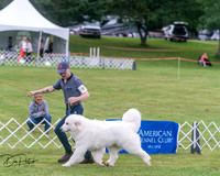 20250626-DSC04180