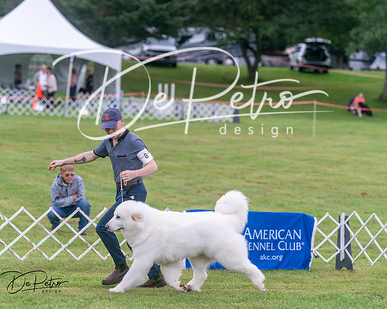 20250626-DSC04180