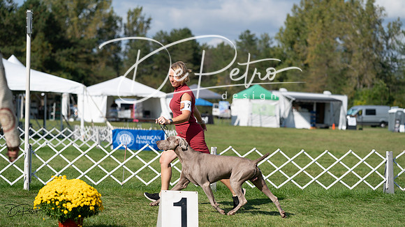 20231001-DSC07915