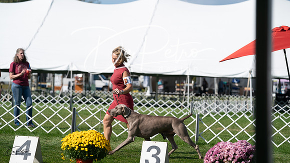 20231001-DSC07921