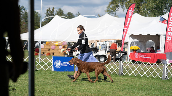 20231001-DSC07954