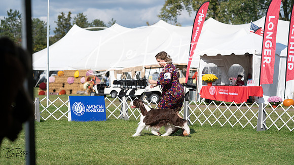 20231001-DSC07969