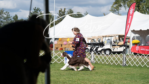 20231001-DSC07973