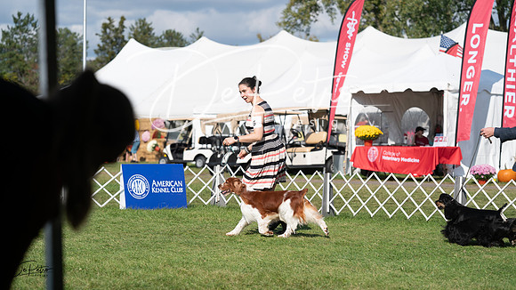 20231001-DSC07978