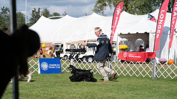 20231001-DSC07982
