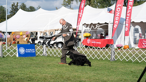 20231001-DSC07988