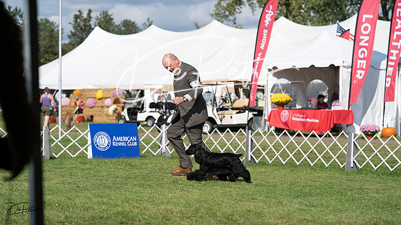 20231001-DSC07990