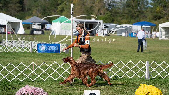 20231001-DSC08006