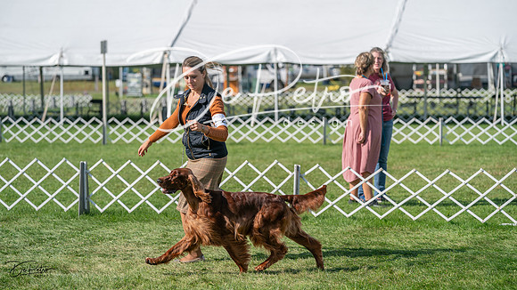 20231001-DSC08018