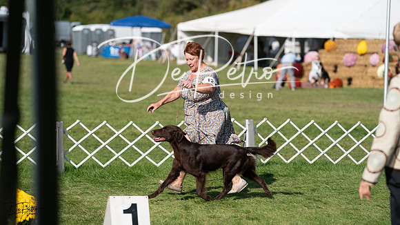 20231001-DSC08114