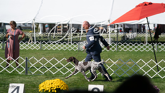 20231001-DSC08154