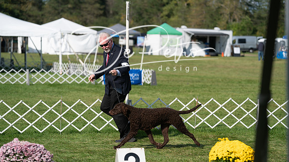 20231001-DSC08198