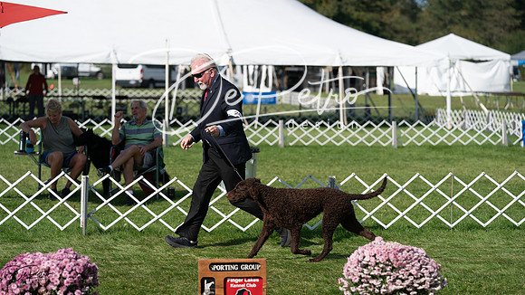 20231001-DSC08206