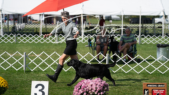 20231001-DSC08233
