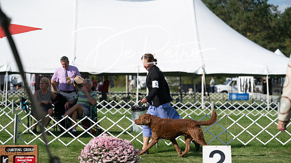 20231001-DSC08249