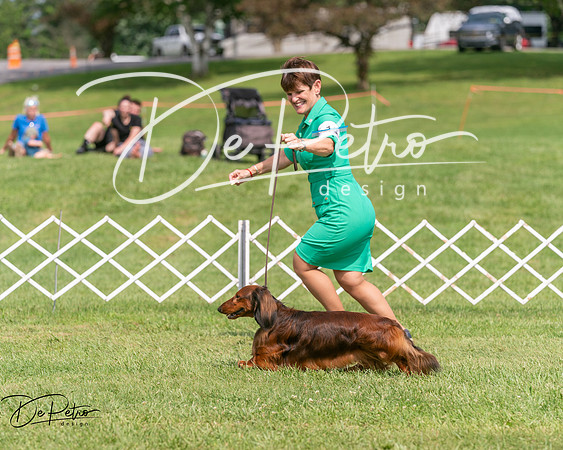 20250628-DSC08369