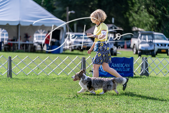 20240630-DSC04941