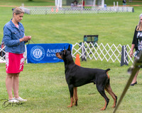20250628-DSC07193