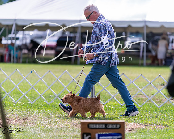 20240630-DSC03674