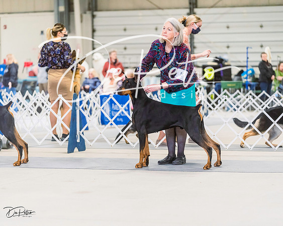 20220306-DSC00360