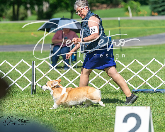20250629-DSC00871