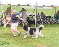 20250628-DSC08910