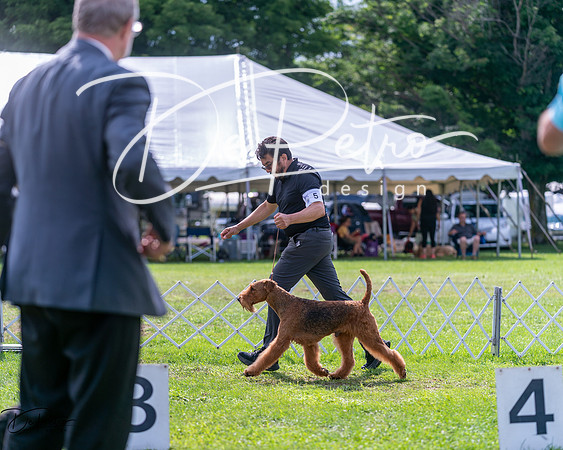 20240630-DSC03715