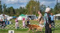 20231001-DSC08646