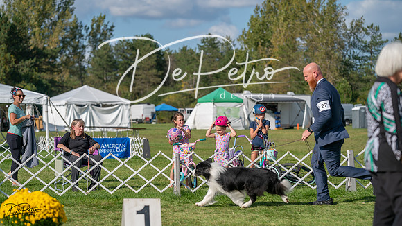 20231001-DSC08639
