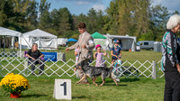 20231001-DSC08677