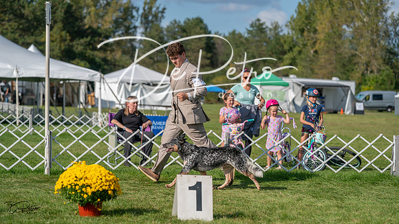 20231001-DSC08679