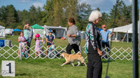20231001-DSC08680