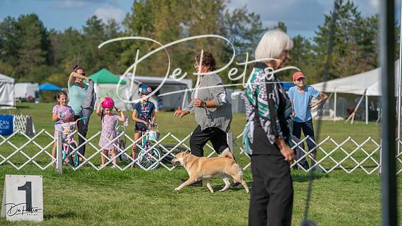 20231001-DSC08680