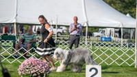 20231001-DSC08690