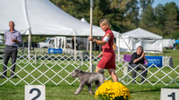 20231001-DSC08693
