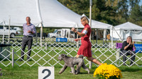 20231001-DSC08695