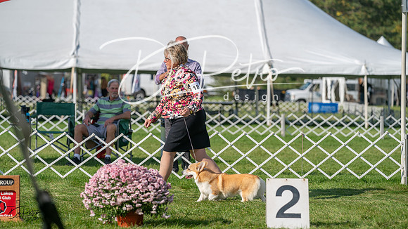 20231001-DSC08705